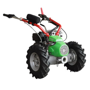 Rapid Rex