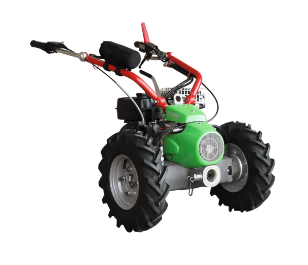 Rapid Rex